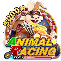 ANIMAL RACING - SIGAMEN137