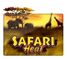 Safari Heat - SIGAMEN137