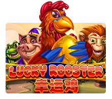 Lucky Rooster - SIGAMEN137