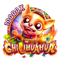 CHILIHUAHUA - SIGAMEN137
