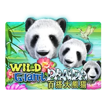 Wild Giant Panda - SIGAMEN137