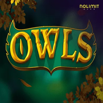 Owls - SIGAMEN137