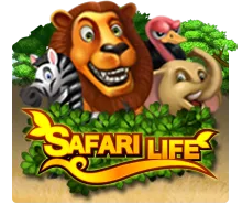 Safari Life - SIGAMEN137