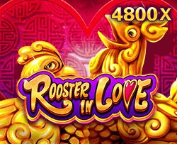 Rooster In Love - SIGAMEN137