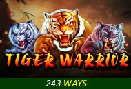 Tiger Warrior - SIGAMEN137