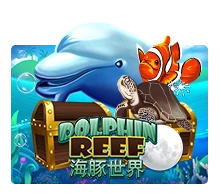 Dolphin Reef - SIGAMEN137