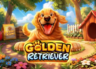 Golden Retriever - SIGAMEN137