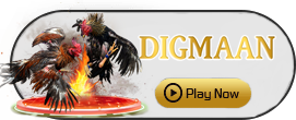 Digman - SIGAMEN137