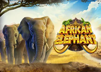 African Elephant - SIGAMEN137